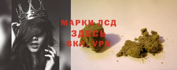 ГАЛЛЮЦИНОГЕННЫЕ ГРИБЫ Михайлов