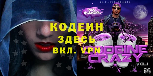 ГАЛЛЮЦИНОГЕННЫЕ ГРИБЫ Михайлов