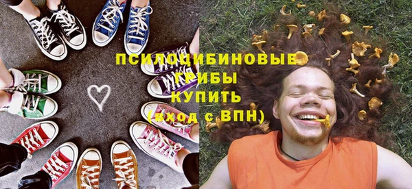 ГАЛЛЮЦИНОГЕННЫЕ ГРИБЫ Михайлов
