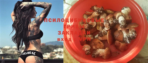 ГАЛЛЮЦИНОГЕННЫЕ ГРИБЫ Михайлов
