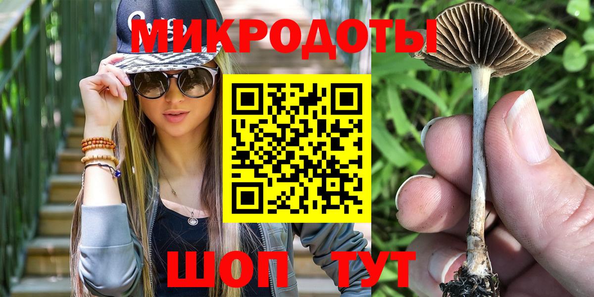Майкоп  Галлюциногенные грибы мицелий  Вход с VPN 