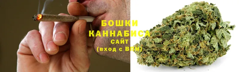 Бошки Шишки THC 21%  Майкоп 