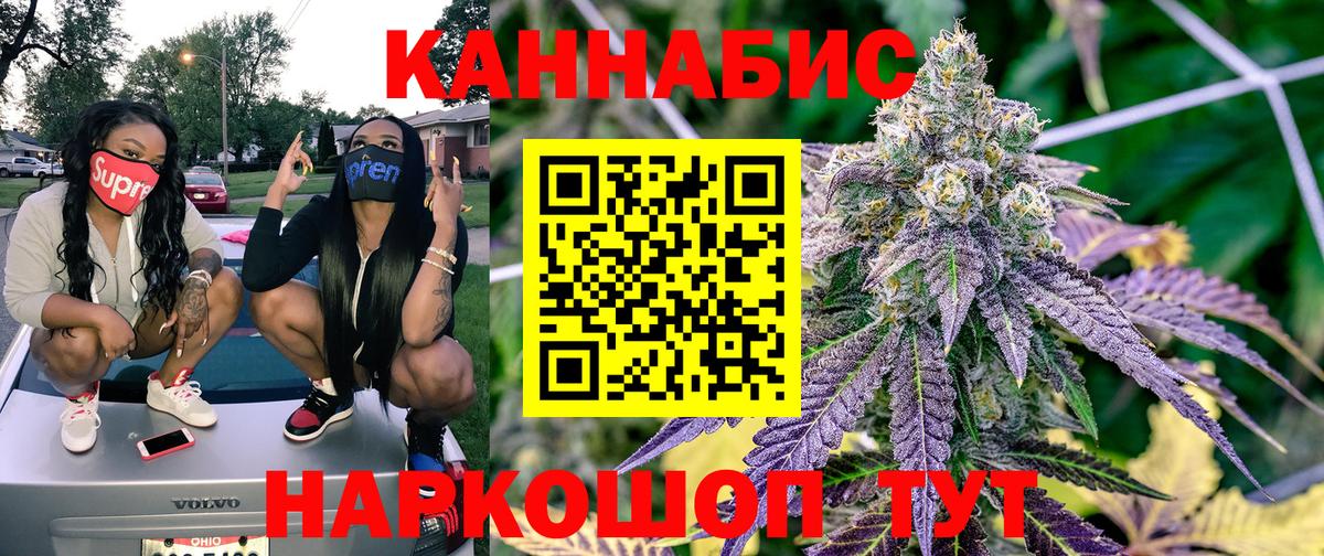 Каннабис конопля Майкоп